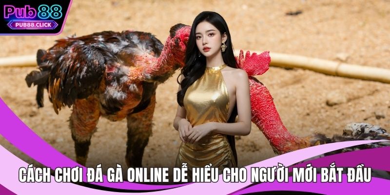 Cách chơi đá gà online