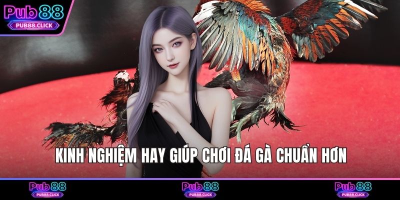 Kinh nghiệm hay giúp chơi đá gà chuẩn hơn