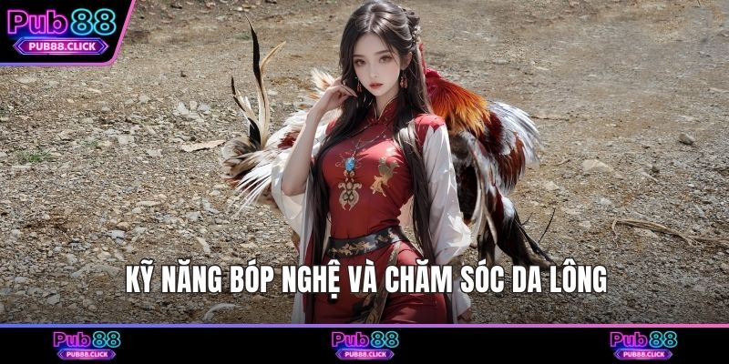 Kỹ năng bóp nghệ và chăm sóc da lông