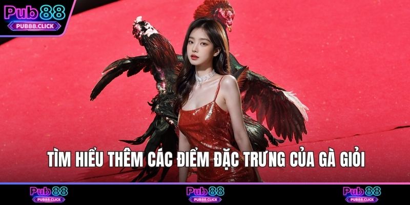 Tìm hiểu thêm các điểm đặc trưng của gà giỏi