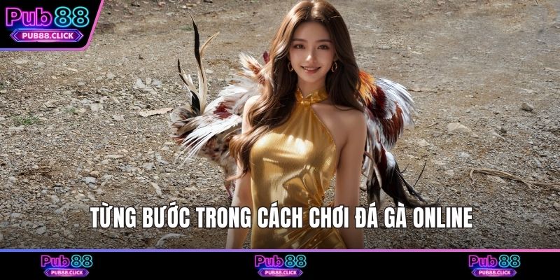 Từng bước trong cách chơi đá gà online